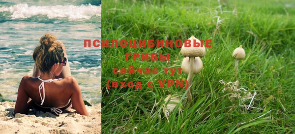 меф Козельск