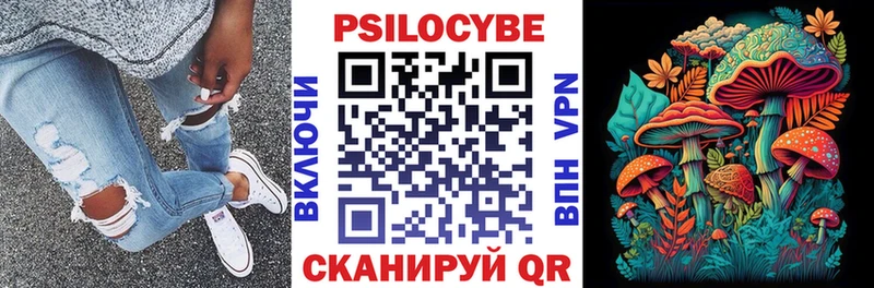 Купить закладки  Заволжье  Галлюциногенные грибы прущие грибы 